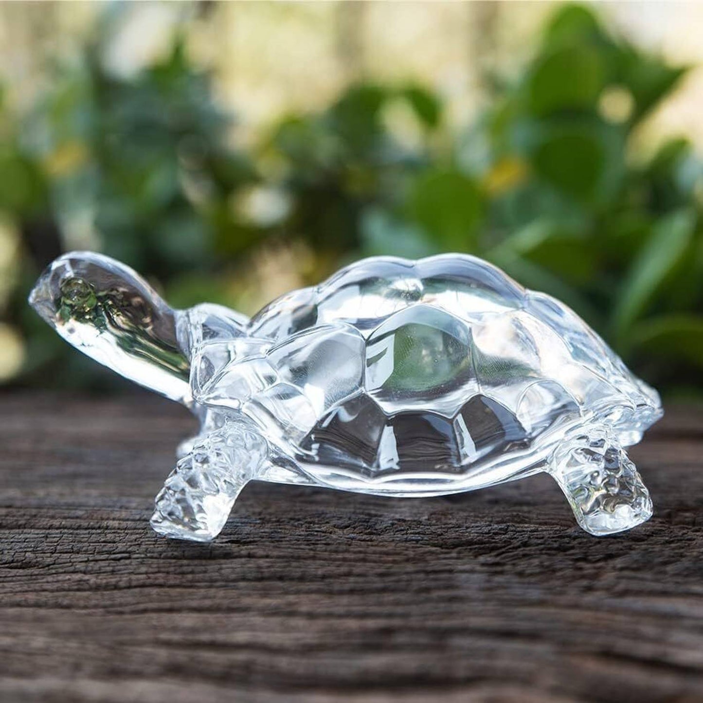 Crystal Turtle